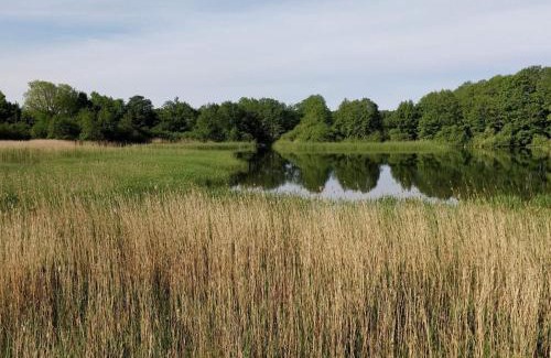 Øksenmølle House | 4 person holiday home in Ebeltoft