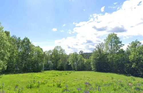 Fengersfors House | Pet-Friendly Holiday Home for 5 in Fengersfors