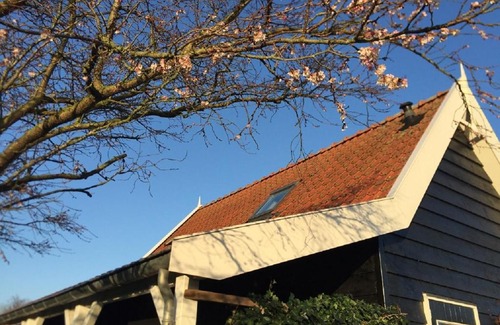 Sint Maartensdijk House | Cozy 4-Person Holiday Home at De Zeeuwse Dijk Tholen
