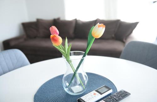 Balatonszarszo Apartment | 4 Seasons Apartman