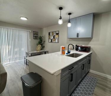 Park Central Apartment | 4 STATE FAIR l DT Dallas l FIFA READY l Staycation 1Bd1Ba