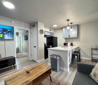 Park Central Apartment | 4 STATE FAIR l DT Dallas l FIFA READY l Staycation 1Bd1Ba