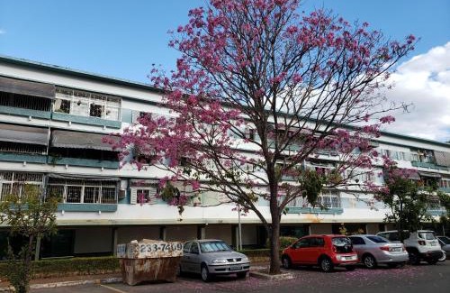 Asa Sul Apartment | Perfect for Families & Groups with Top Wi-Fi and Pet-Friendly
