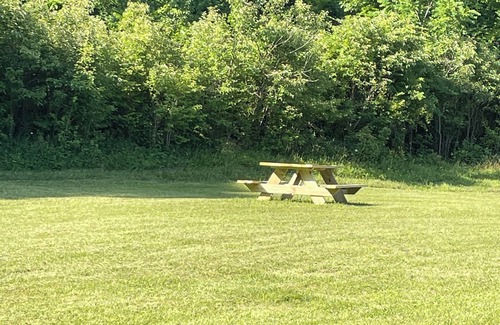 Wayne County Apartment | Secluded 420 Friendly Getaway - Pets Welcome, Rated 10/10