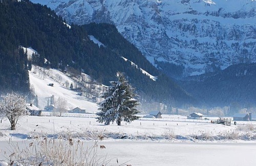Lenk Apartment | Teleboy Apartment: Pet-Friendly Retreat with Excellent Reviews