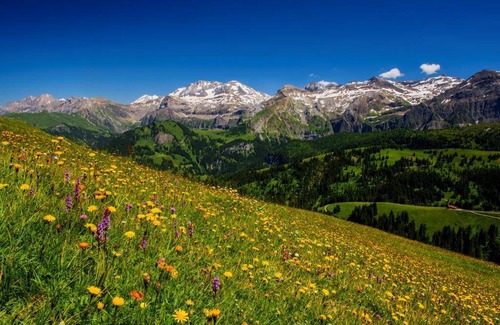 Lenk Apartment | Teleboy Apartment: Pet-Friendly Retreat with Excellent Reviews