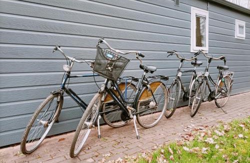 Oosterwolde Ski Chalet | Cozy Chalet TOLVE with Bikes Near Nature Reserves
