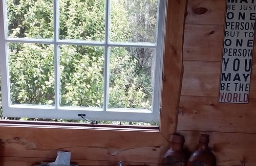 Waiotahi Cabin | Unique Off-Grid Timber Cabin with Panoramic Ocean Views