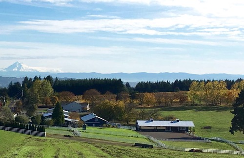 Far West House | 5 Acre Country Estate 4 Bdrms Beautiful Views, Surrounded by Vineyards & Horses