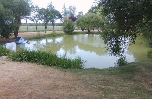 Bouin House | Relax in a 5-Bedroom Gite with Pool for Family Fun