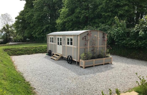 Tavistock House | Luxury 5-Star Shepherds Hut – Guest Rated 10/10