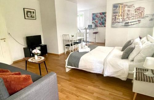 Lausanne Apartment | 5 min walking from Lausanne gare