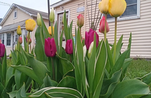 Saugerties Apartment | Ideal Location: 5 Minutes to HITS in Saugerties Village