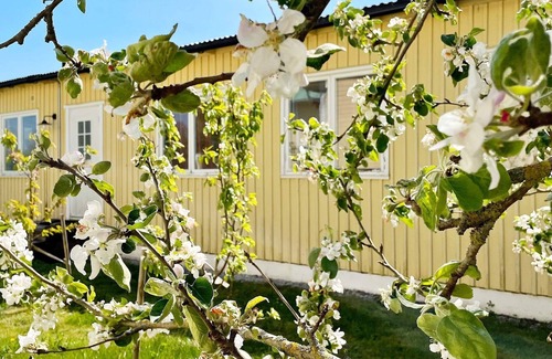 Romakloster House | Cozy 5-Person Holiday Home in Romakloster with Breakfast