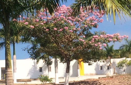 Santa Cruz Villa | Relaxing 3 Bedroom Retreat with Private Beach & Pool