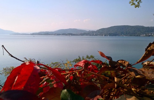 Klagenfurt am Woerthersee Apartment | 52 cozy m² in the east of the city center