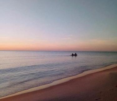 Hammamet Apartment | 5min de la zone touristique 400metre de la plage appartement chic S plus 1