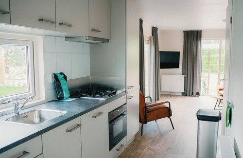 Voorthuizen Resort | Spacious Veluwelodge XL with Grill House & Pool Access