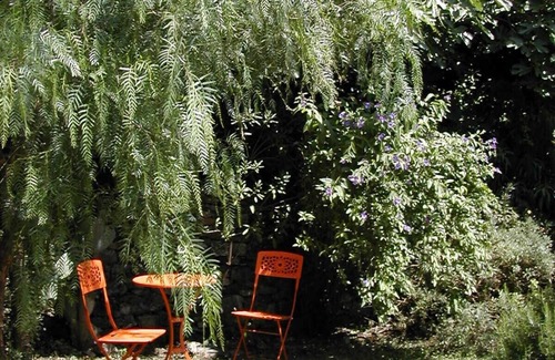Isolalunga Apartment | Charming Escape in Ligurian Back-Country, 9.4/10 Rated
