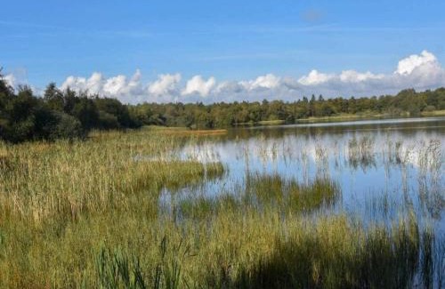 Ansager House | Family-Friendly Retreat at Holiday Home Ansager XXXIX