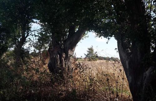 Dageløkke House | Cozy Holiday Home Tranekær XXXII - Family & Pet Friendly