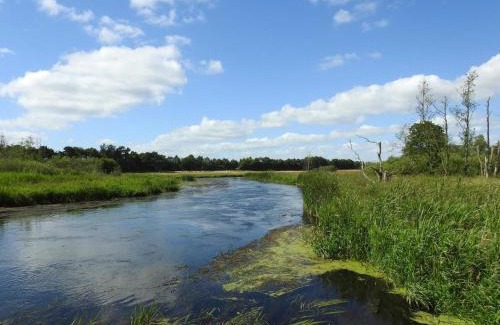 Farvang House | Pet-Friendly Holiday Home Fårvang XII with Pool & 10/10 Rating