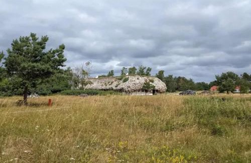 Læsø House | Pet-Friendly Holiday Home Læsø II with Top Guest Ratings