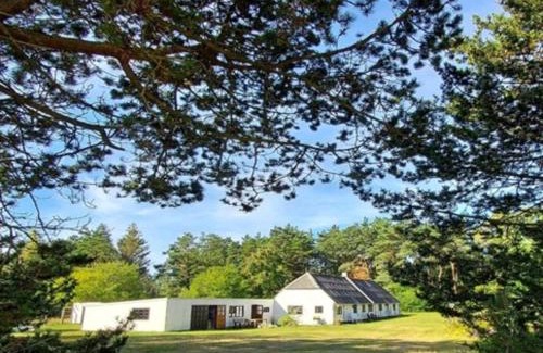 Læsø House | Pet-Friendly Holiday Home Læsø - Guest Rated 10/10