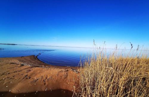 Skaven Strand House | Pet-Friendly Holiday Home Tarm XV for Family Getaways