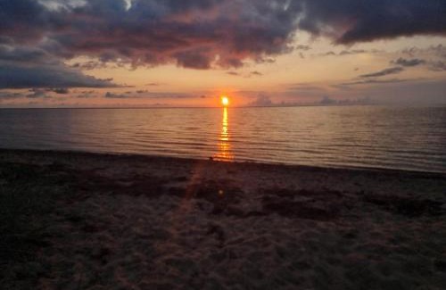 Skaven Strand House | Pet-Friendly Holiday Home Tarm XV for Family Getaways