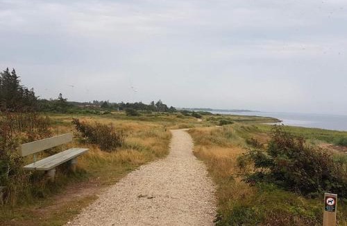 Skaven Strand House | Pet-Friendly Holiday Home Tarm XV for Family Getaways