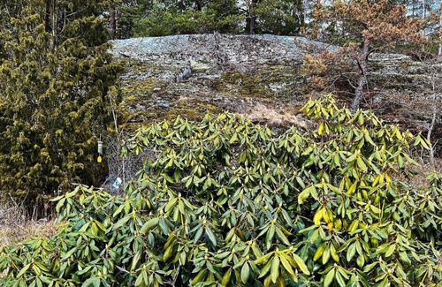 Tyreso O House | Pet-Friendly Holiday Home TYRESÖ V for Family Getaways