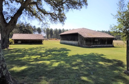 Vielle-Saint-Girons Apartment | 6 Room apatement between forest and ocean