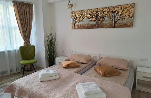 Miercurea-Ciuc Apartment | Highly Rated 7 Levél Central Apartments with Family Amenities