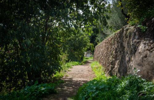 Cocentaina House | Discover 7 Pisos Casa Rural de Pueblo - Pet-Friendly Haven