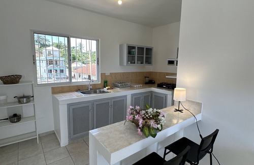 Las Terrenas Apartment | Private Bathroom and City Views at Vikram Apartment