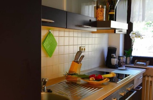 Zwiesel Apartment | Spacious 2-Bedroom Apartment with Balcony & Spa Amenities