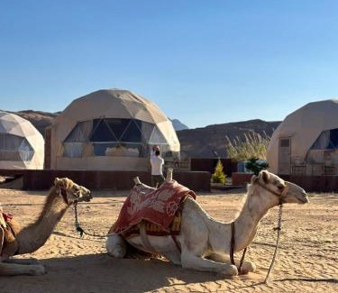 Wadi Rum Hotel | Discover 7star Camp: Family-Friendly & Highly Rated Stay