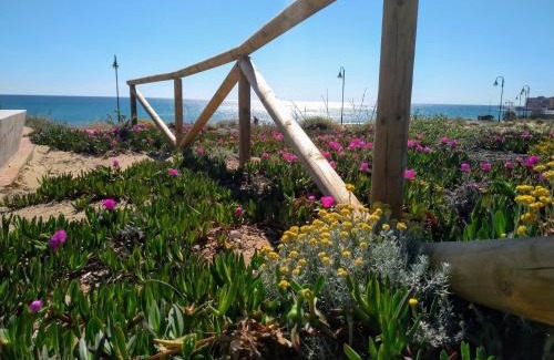 La Mata Apartment | Beachfront Apartment on 7th Floor with Ocean Views