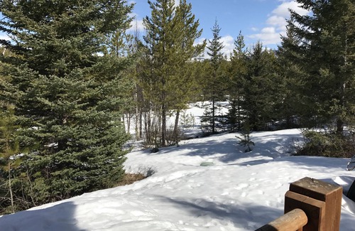 Coram Cabin | Discover Montana Mountain Glory: 7th Night Free & Views!