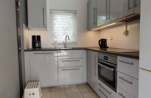 Vlagtwedde House | Beautiful Villa with Terrace, Pool and Lake View Awaits