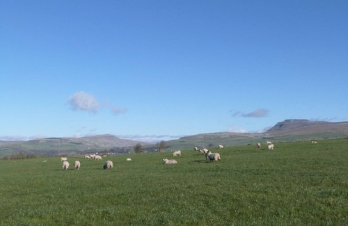 Fourstones Near Bentham Cottage | Top-Rated 8 Stonegate: Pet-Friendly with Breakfast & Kitchen