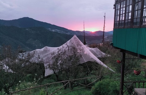 Rampur Cottage | Vintage Escape Surrounded by Apple Orchards and Pine Trees