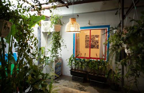 Hai Chau House | 88 ngày là tới HOUSE - 88 days to go HOUSE