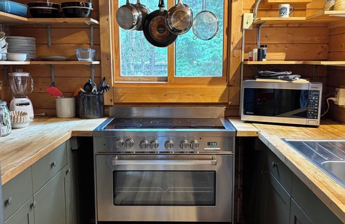 Leavenworth Cabin | Dog-Friendly Haven with Heated Pool & Hot Tub - Rated 10/10