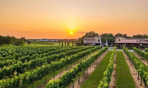 Blanco House | 8b 4b nearby pool Blanco wine trail town sq