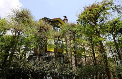 Ren'ai Bed & Breakfast | Spacious Bed and Breakfast with Restaurant & Kitchen Access