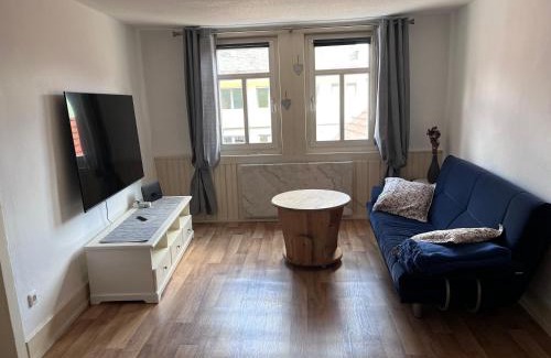 Miltenberg Apartment | Discover 9ter Riese Dachgeschoss-Fewo: Pet & Child Friendly
