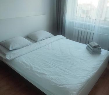 Panevezys Apartment | Pet-Friendly Aš Centre Apartments with High Guest Ratings