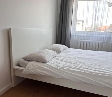 Panevezys Apartment | Pet-Friendly Aš Centre Apartments with High Guest Ratings